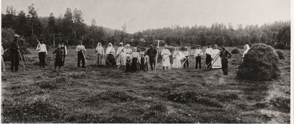 Palomaan Simoniityn pellolla 1910