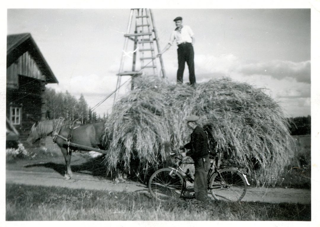 Heinäkuorman kuljetusta hevosella 1940-luvun lopulla Palomaassa