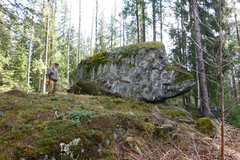 Ikivahan kivi 2020 Hämeenkoski kuva: Anja Hiidenheimo